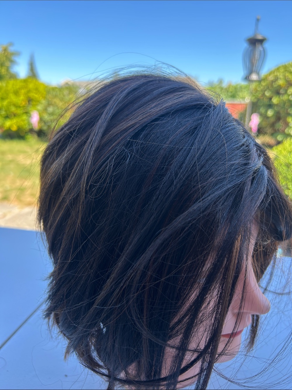 Dark Brown Women’s Short Layered Wig - Stylish Everyday Look missing tags